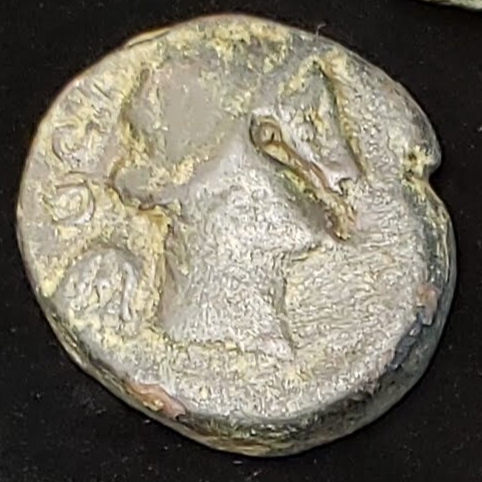 Need-Help-Choosing-Which-Coins-To-Get-From-A-Ancient-Greek-Coin-Lot.
